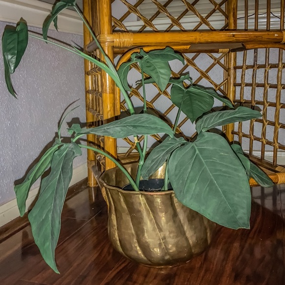 ✨SOLD✨Two Vintage Matching Brass Planters - Picture 4 of 6